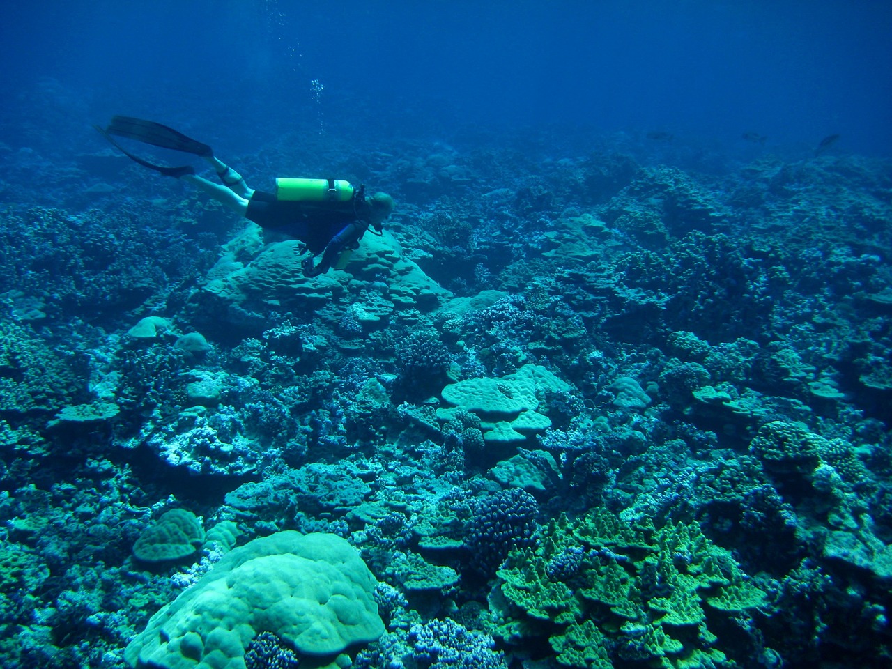 Featured image for “3 Best Professional Underwater Drone”